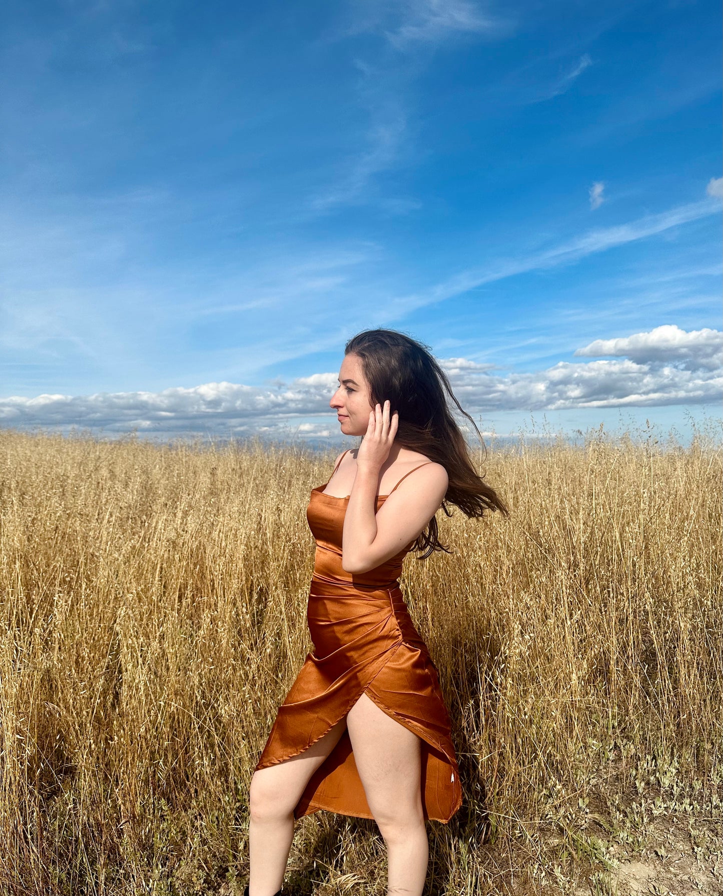 Petite Midi Satin Dress - Burnt Orange