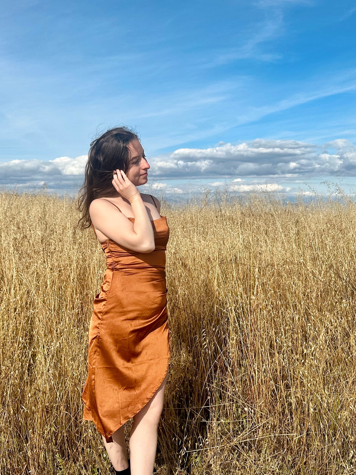 Petite Midi Satin Dress - Burnt Orange
