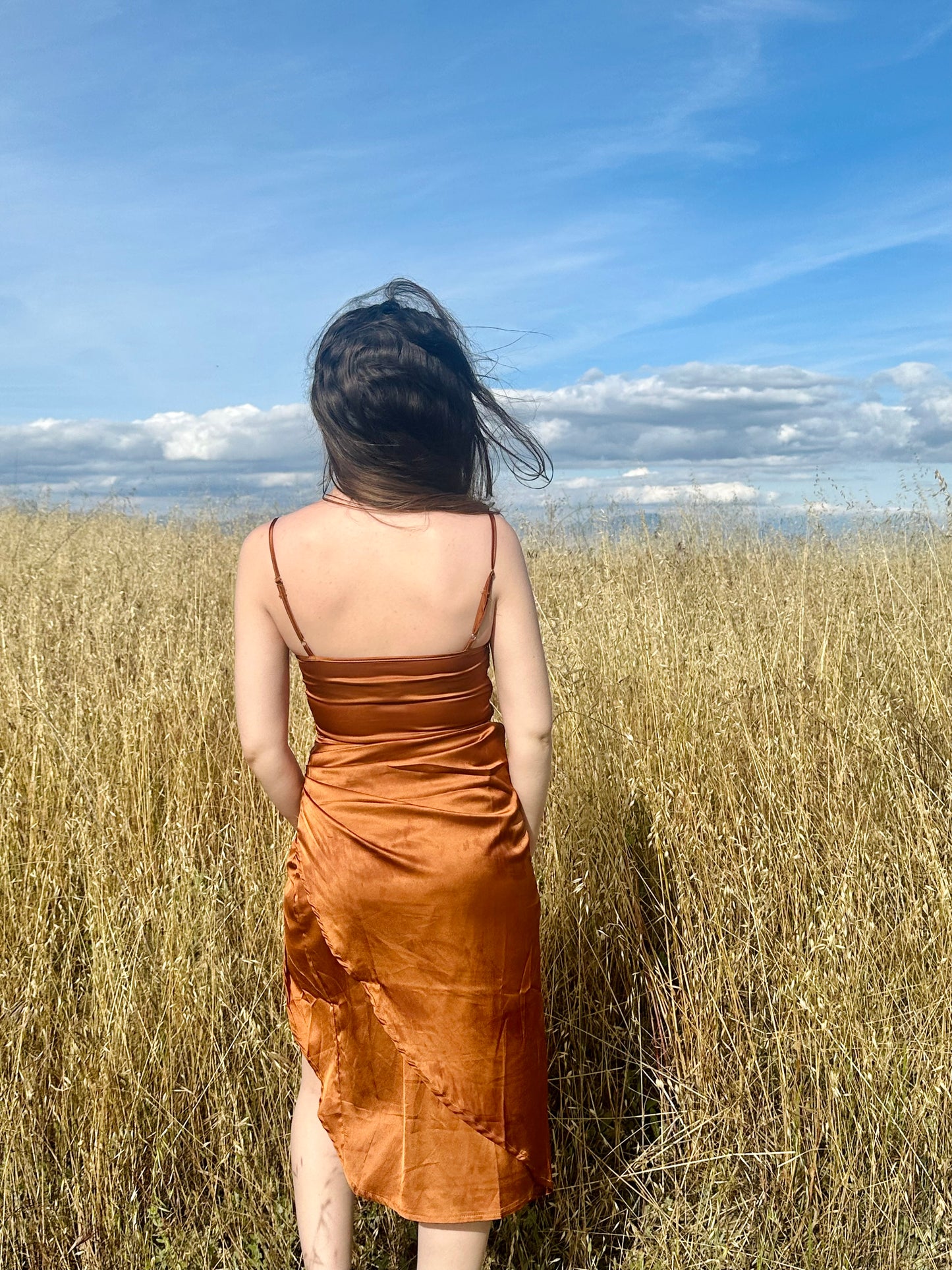 Petite Midi Satin Dress - Burnt Orange