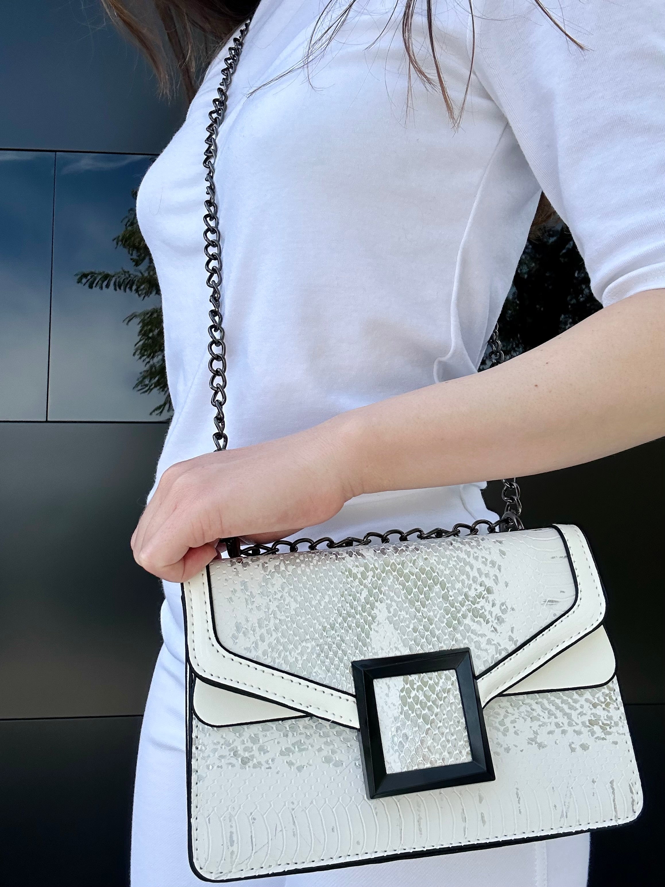 Snake Skin Crossbody Bag - White and Silver – DIIMA Apparel