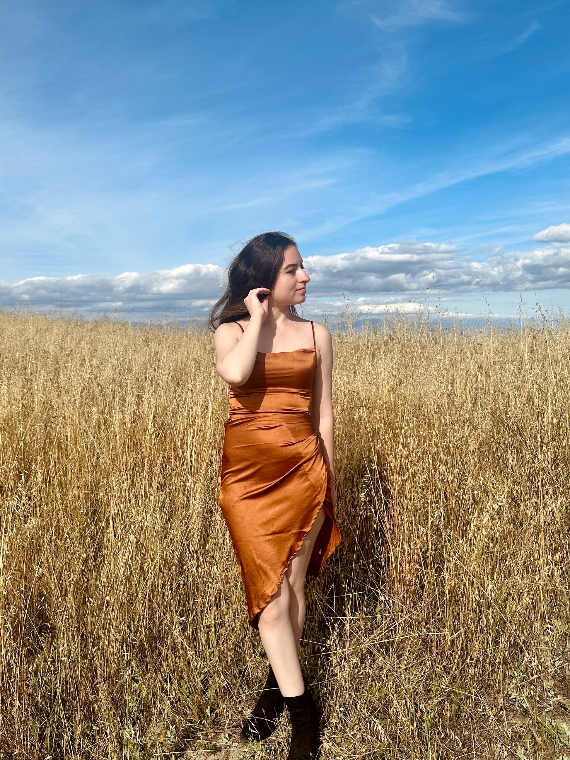 burnt orange petite dress Isa Short Dress Burnt Orange